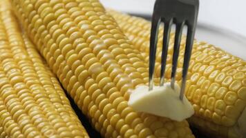 Close-up of butter melting on freshly steamed corn on the cob, highlighting the golden kernels and rich, buttery texture. video