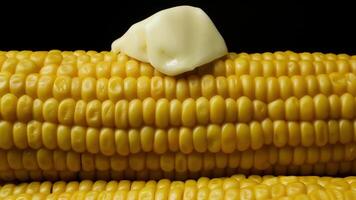 Close-up shot of butter melting over hot, freshly cooked corn on the cob, emphasizing the golden kernels and creamy texture. video