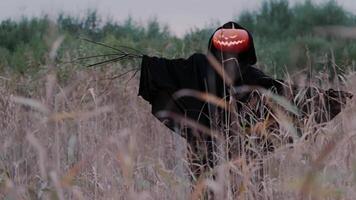 Scary scarecrow with a glowing jack-o'-lantern head standing in a field, evoking Halloween themes and eerie autumn atmosphere. video