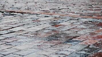 Close-up of raindrops splashing on a stone pavement, highlighting the textures of the wet surface and the gentle rhythm of rainfall. video
