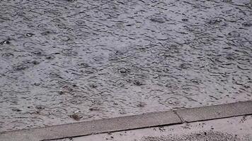 circles from raindrops on the surface of a puddle, abstract background, texture of autumn water video