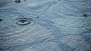 raindrops fall into a puddle on the paving stones during the rain. video
