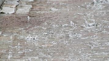 large drops of rain fall into a puddle in the park during heavy rain. video
