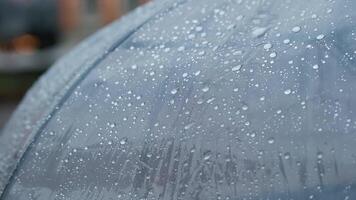 Raindrops fall on a transparent umbrella and flow down during the rain. video