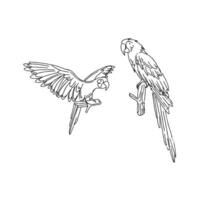 Two parrots are flying in the air coloring page vector