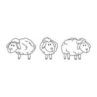 Three sheep are shown in a line drawing vector
