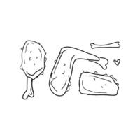 A drawing of a chicken wing and a bone vector