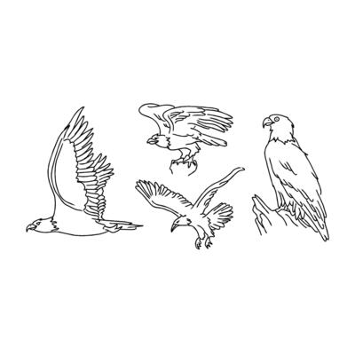 Eagle drawing set illustration