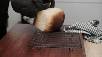 A chef's hands taking baked bread out of a pan. the cook takes the bread out of the oven. video