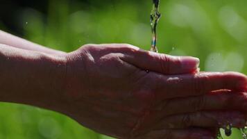Water pours into a woman's hands on a blurred background of nature. slow motion. video