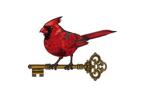 colored illustration of a bird with a vintage key vector