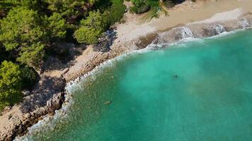 Antalya Turkey 10.28.2024 Aerial view of forest beach with pine trees video