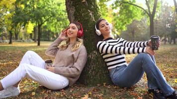 Friends enjoy a relaxing autumn afternoon with warm drinks in a vibrant park video