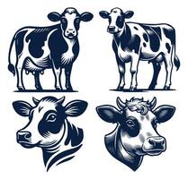 Dairy Cows Illustration Design Set, Isolated in white background vector