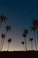 Silhouette coconut palm trees and grass field landscape with a lot of star and meteor in the night sky vertical background graphic illustration have blank space. vector