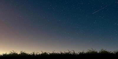 Silhouette grass field landscape at night with a lot of star and meteor background graphic illustration have blank space. vector