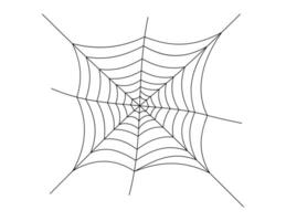 spider web, spiderweb illustrations vector