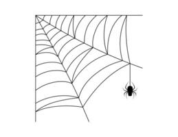 spider web, spiderweb and spider hanging vector