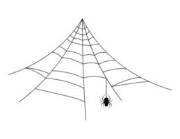 spider web line, halloween spiderweb and spider hanging vector