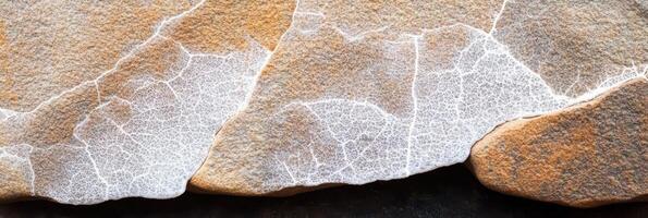 Close-up of natural rock patterns with intricate white veining texture photo