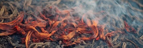 Close-up of burning red embers with smoke rising from charred wood photo