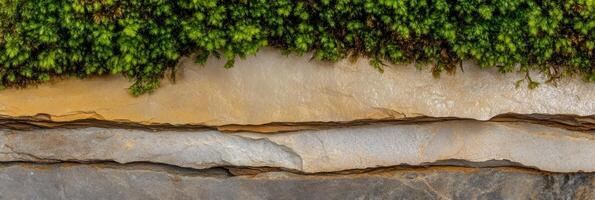 Natural abstract patterns of layers of rock and green moss in contrast photo