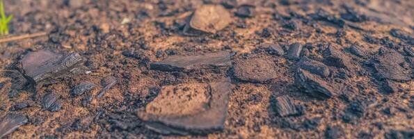 Close-up of charred wood and ashes scattered on brown earth surface photo