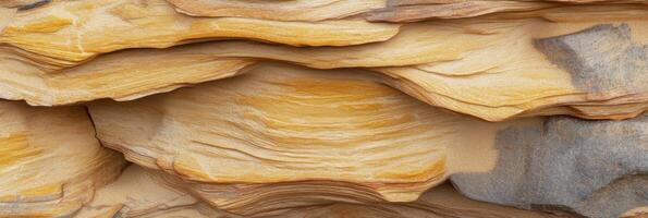Intricate layers of sedimentary rock patterns in earthy tones for geological study photo