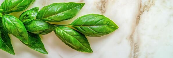 Fresh green basil leaves on marble kitchen countertop for culinary use photo