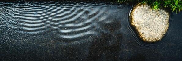 Raindrops creating ripples on water surface near stone and grass in nature photo