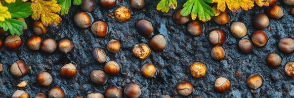 Acorns spread on rough bark surface with autumn leaves for a seasonal nature concept photo