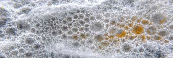 Abstract close-up of white and yellow mold with bubble-like patterns photo