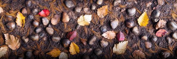 Autumn leaves and stones creating a natural earthy pattern on forest ground photo