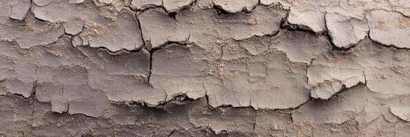 Cracked earth texture showing drought and natural geological patterns photo