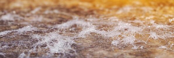 Close-up of sparkling water droplets on textured surface in warm light photo