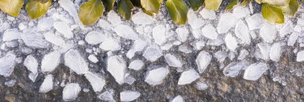 Texture of white paint brush strokes and green leaves on canvas art surface photo