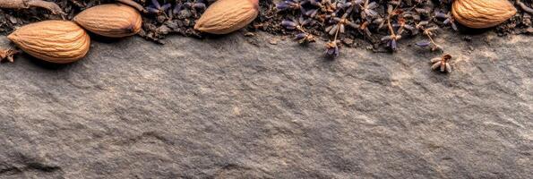 Dry lavender and almonds on stone surface with textured background photo