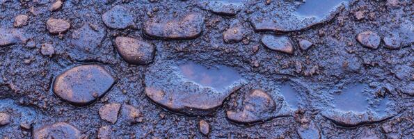 Wet muddy ground with scattered rocks and puddles in natural outdoor setting photo