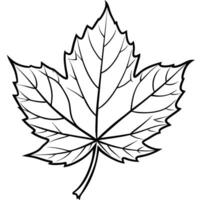 Maple Leaf Outline Simple Black Lines vector