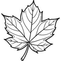 Outline Maple Leaf with Detailed Veins vector