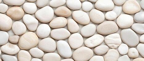 White smooth pebbles background texture with rounded stones arranged in a natural pattern. The polished and uniform shapes create a minimal and aesthetic composition. photo