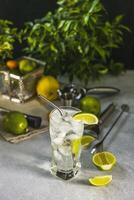 Gin and tonic cocktail being prepared with reusable metal straw, ice cubes, and lime slices, surrounded by bartender tools and fresh ingredients photo