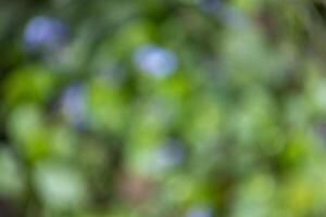 Blurred green and blue background creating relaxing and peaceful atmosphere photo