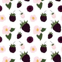 Pattern featuring blackberries and flowers on a white background for creative projects vector