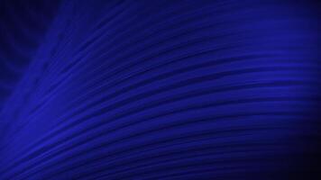 abstract dark blue background with waving line animation, animated glowing line movement perfect for award ceremonies, futuristic backdrops, and elegant backgrounds video