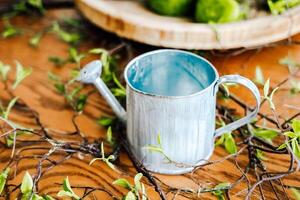 Watering can surrounded by greenery and natural elements on a rustic wooden table photo