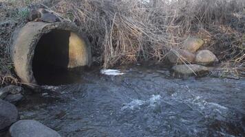 A calming and serene view showcasing water gently flowing from a drain pipe into a picturesque natural stream video