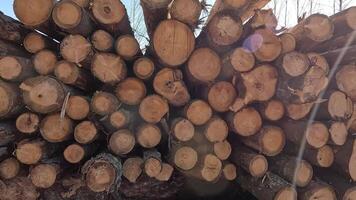 This image shows a closeup of neatly stacked logs prepared for timber processing and efficient transport video