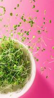 Vibrant microgreens and edamame beans in motion against a bold pink backdrop creating a lively composition photo