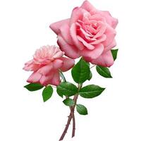 a close up of a flower photo
